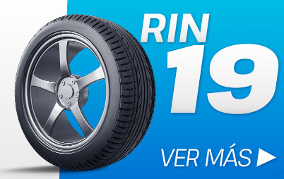 rin19